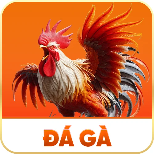 Đá Gà SC88